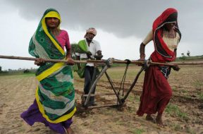 women-labours-in-india