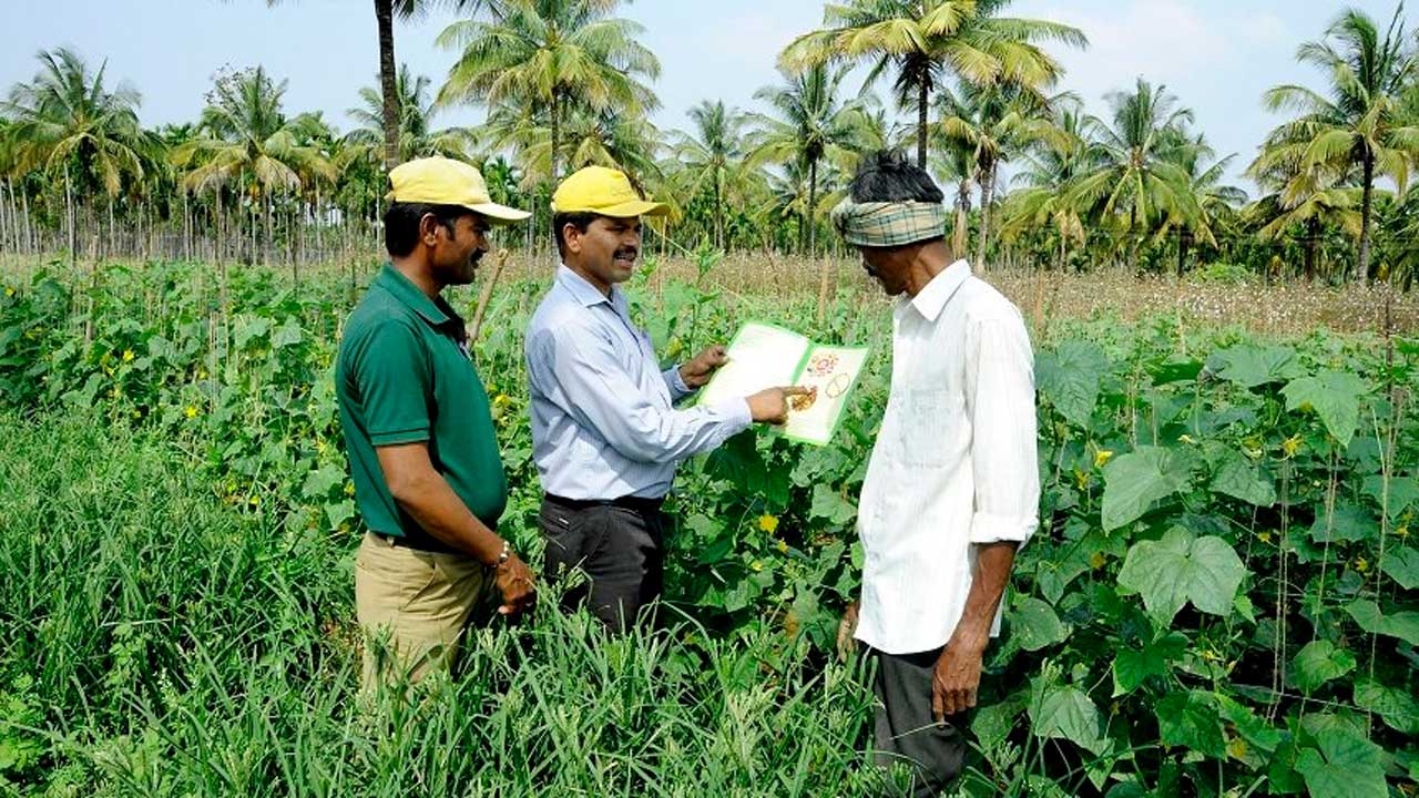 সংস্কার কর্মসূচি: ভারতীয় কৃষির সর্বনাশের নীল নকশা, পর্ব -৩