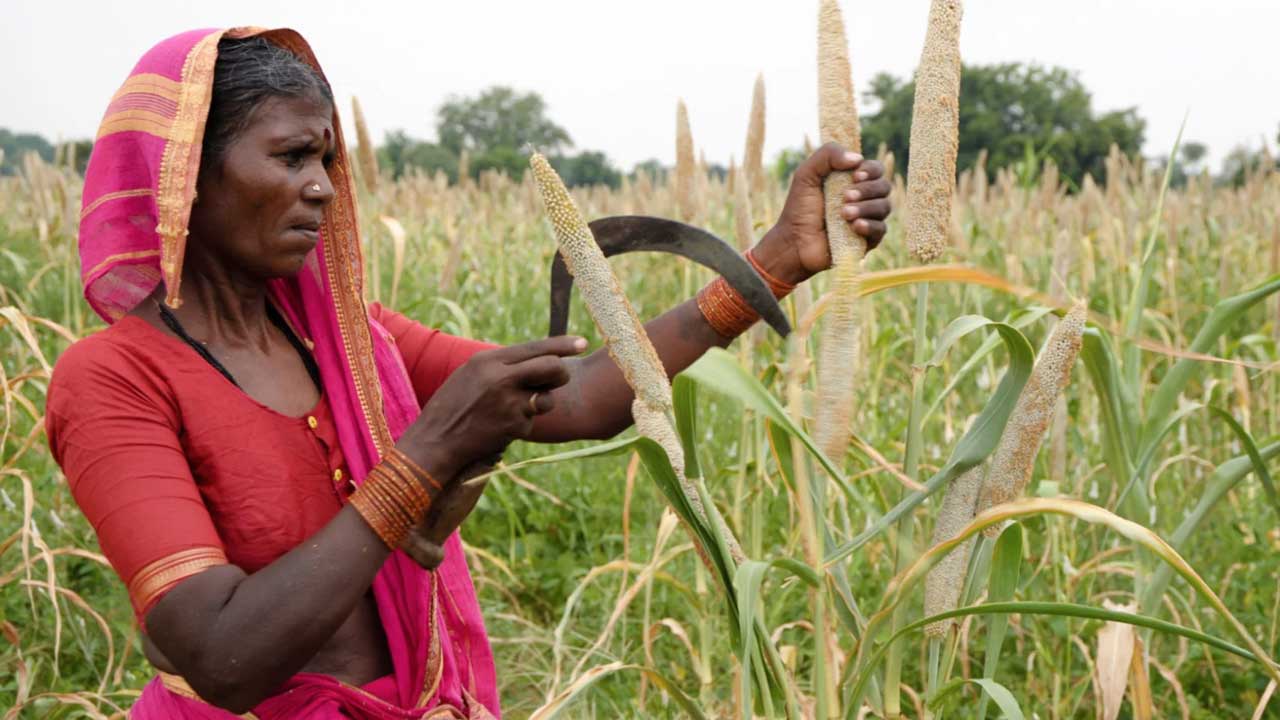 সংস্কার কর্মসূচি: ভারতীয় কৃষির সর্বনাশের নীল নকশা, শেষ পর্ব