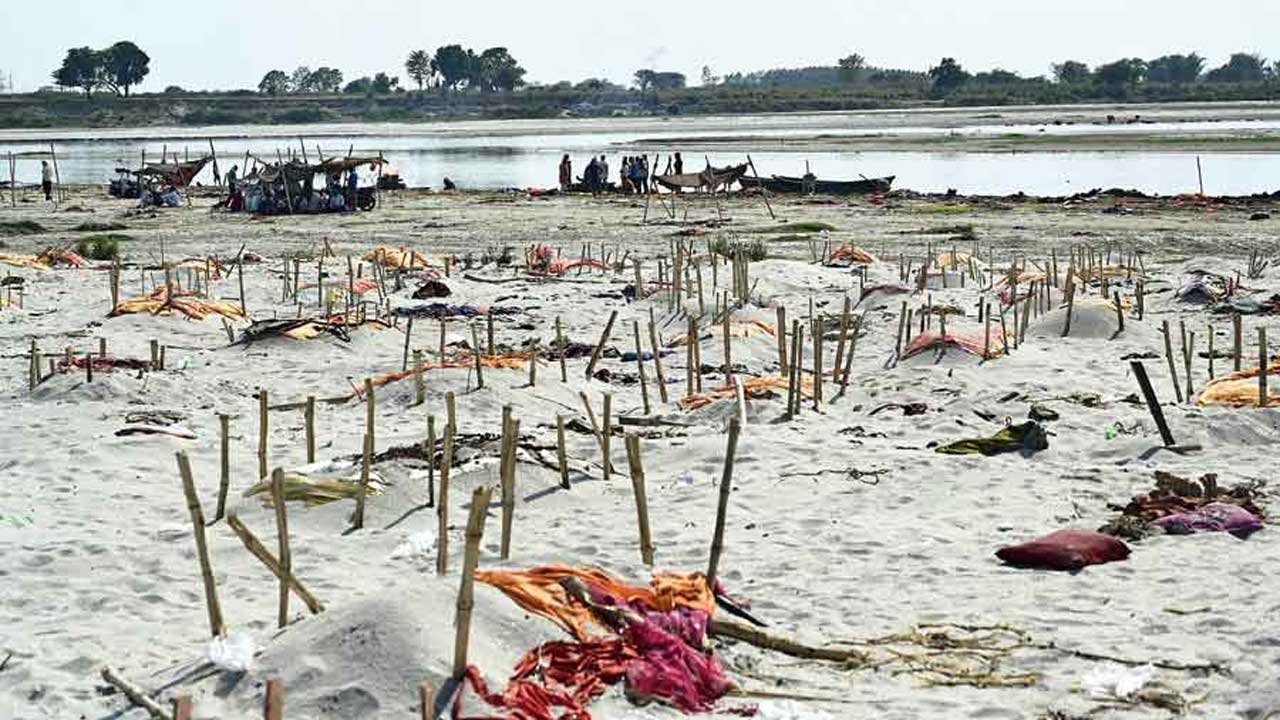 গঙ্গায় মৃতদেহ নিয়ে কবিতায় ‘সাহিত্যিক নকশাল’দের খুঁজে পেল সঙ্ঘ পরিবার